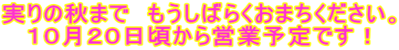 実りの秋まで　もうしばらくおまちください。 １０月２０日頃から営業予定です！